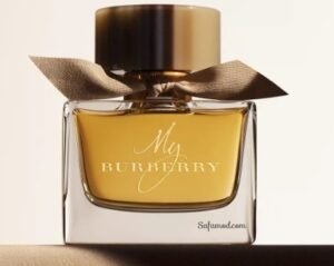 burberry1